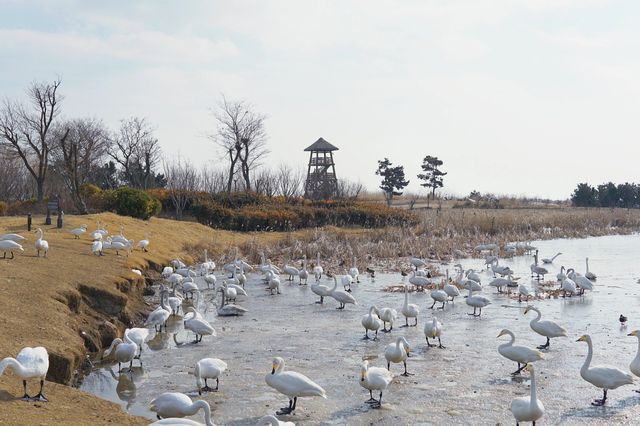 威海旅遊攻略