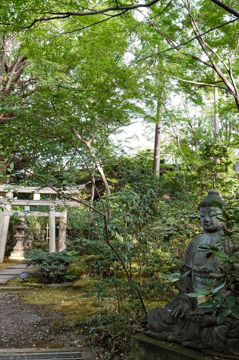 Japanese Niche Travel | Nezu Museum, an art museum with a Japanese