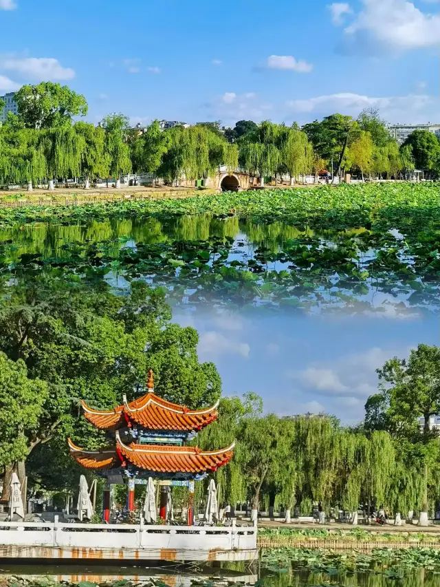 Cuihu is the eye of Kunming