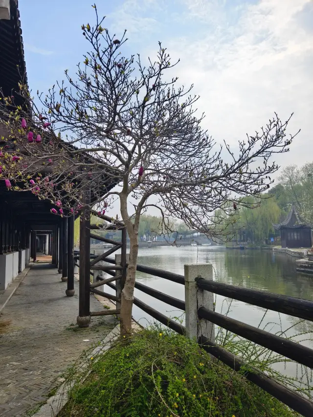 The charm of the "old" Xitang still remains