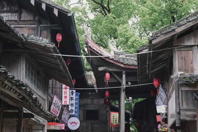 住在山上的日子