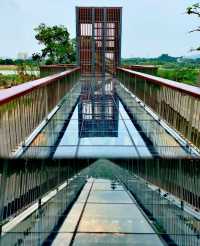 玻璃橋+古建築+花海-松崗五指耙公園