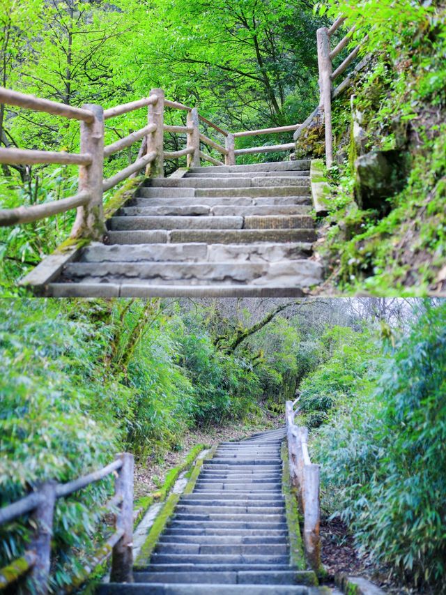 四川—峨眉山三刷全攻略！