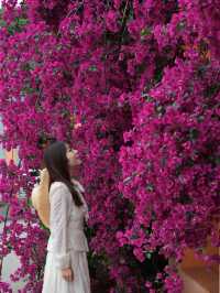 The ancient temple, surrounded by oleanders, on the outskirts of Chengdu remains undiscovered...