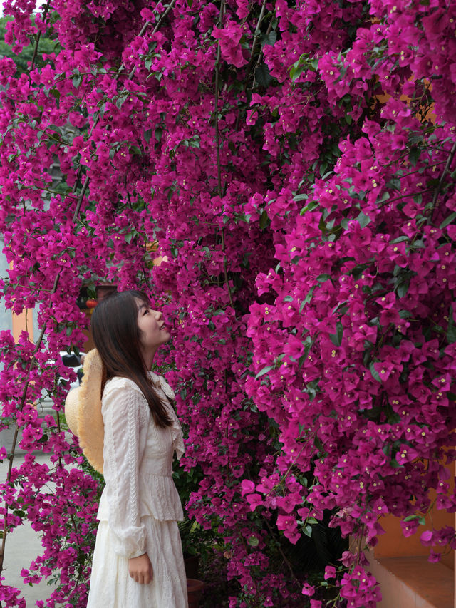 The ancient temple, surrounded by oleanders, on the outskirts of Chengdu remains undiscovered...