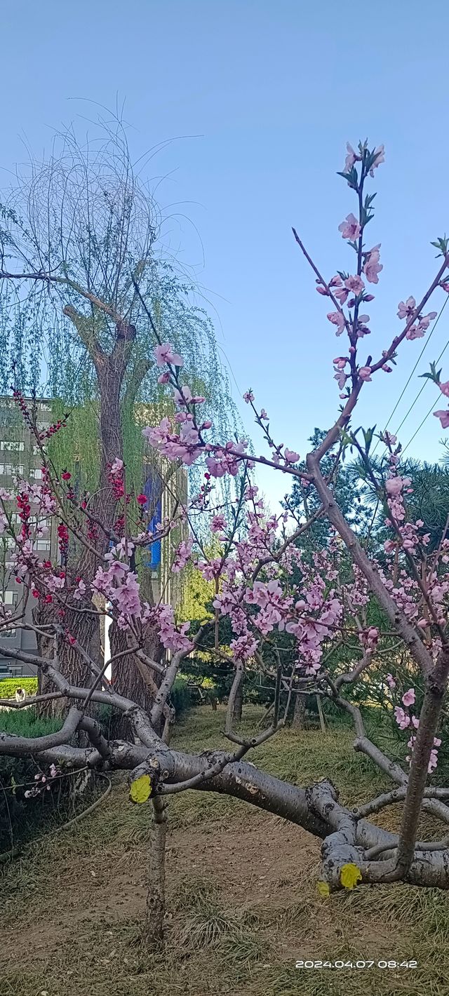 北京海淀中關村創業大街（海淀圖書城）