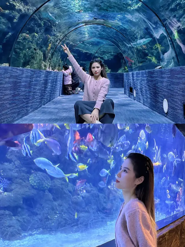 Zhengzhou Aquarium, it's really hard to rate|||