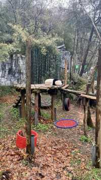 南京去哪兒｜集科普和觀賞於一身的紅山森林動物園