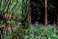 現實版莫奈花園‖上海共青森林公園