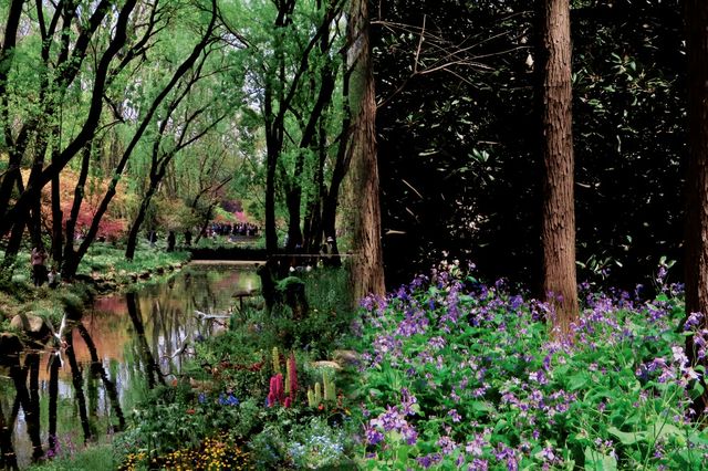 現實版莫奈花園‖上海共青森林公園 現實版莫奈花園‖上海共青森林公園