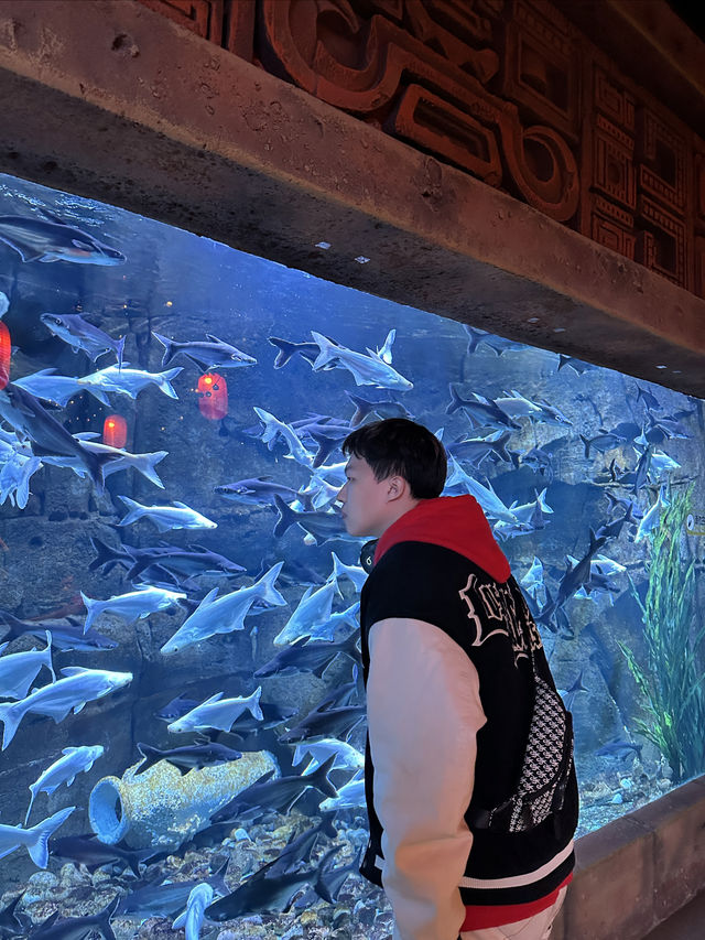 沈陽海底世界 水族館 海藍星夢幻城