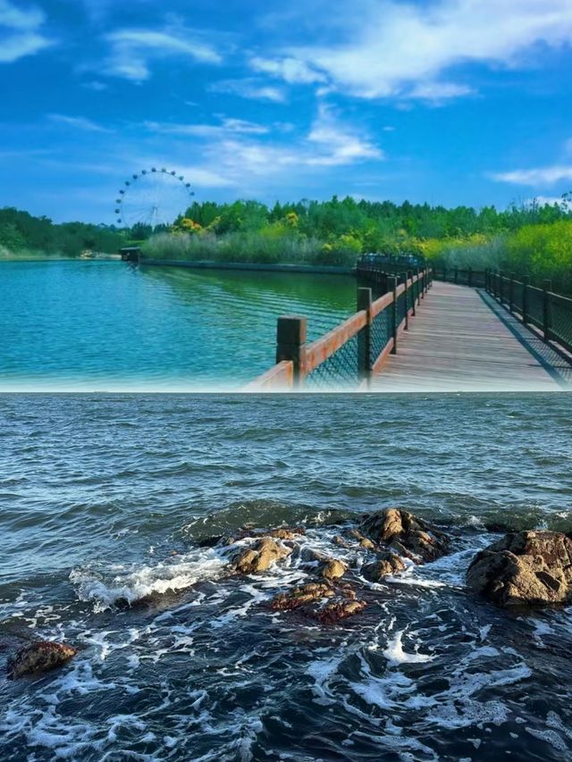 我在北戴河沒空想你