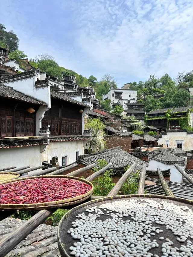 婺源篁嶺旅遊攻略！人均300一日遊詳細路線！