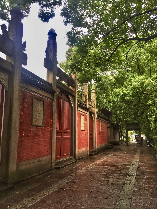 千年古縣城，慈城年糕被央視夸讚
