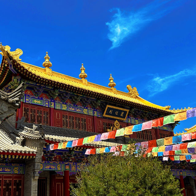 Hidden Gem in Xi'an : Guangren Temple 🏯