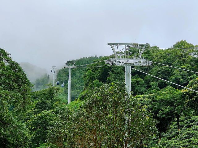 廣東的雲海也是如此壯觀