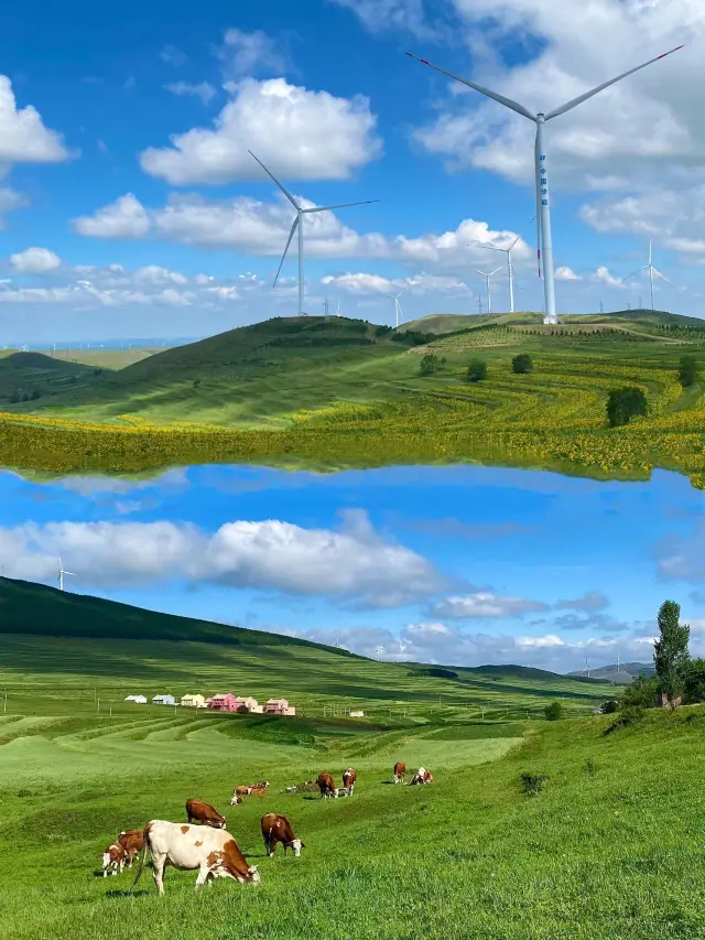 사람을 사랑하게도 하고 짜증나게도 하는 초원 하늘길(상세한 가이드 포함)