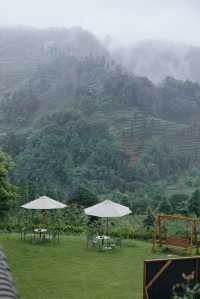 去雅安山里赴一場煙雨，尋一席靜謐，淋一身詩意