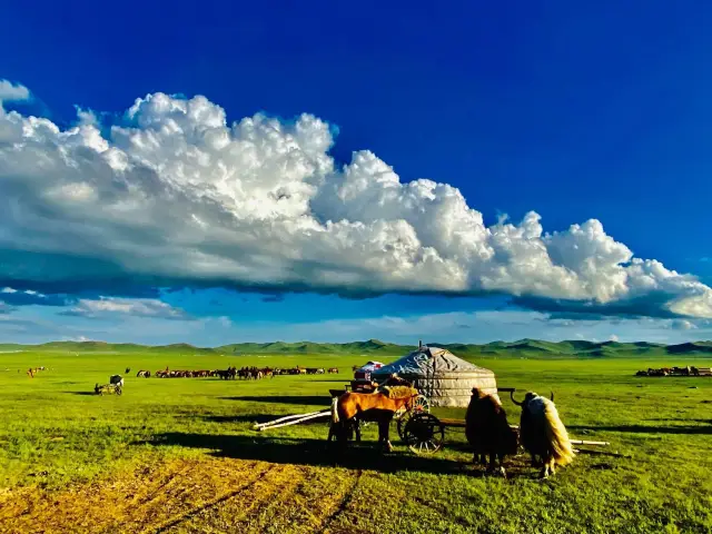 蒙古國烏蘭巴托蒙古遊牧生活度假村