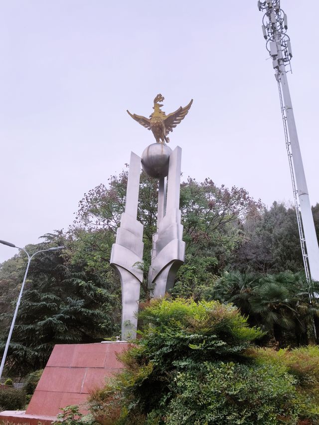 一起看綿陽世界級風景｜免費景點，富樂山