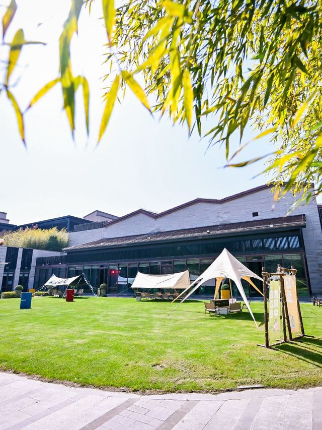 🌟 Shanghai's Chongming Island: Pet Paradise & Family Haven 🐾👨‍👩‍👧‍👦