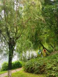 東湖公園：人與自然和諧共生