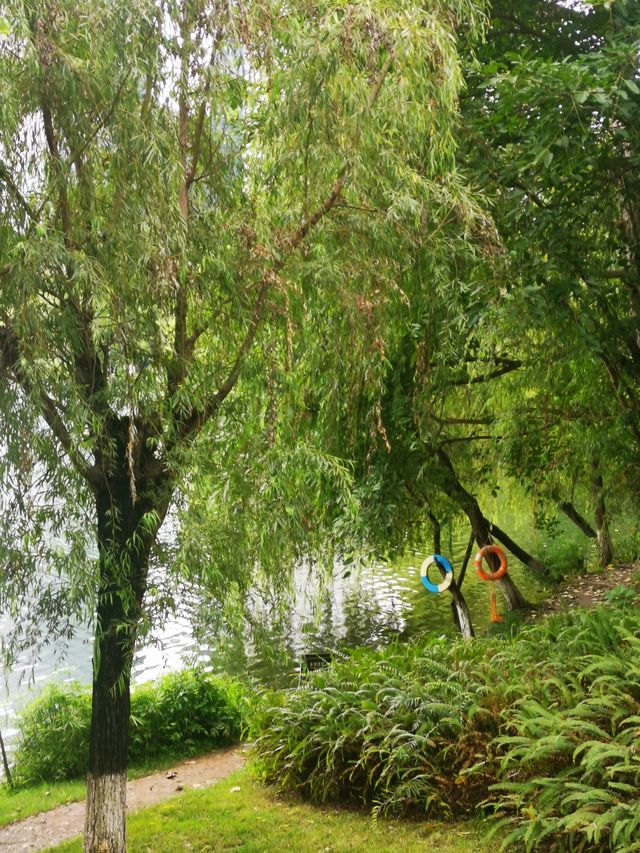 東湖公園：人與自然和諧共生
