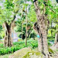 種草澳門白鴿巢公園