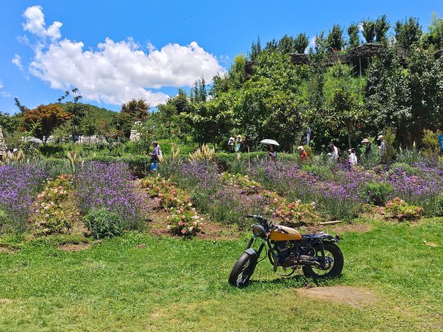 拉市海茶馬古道