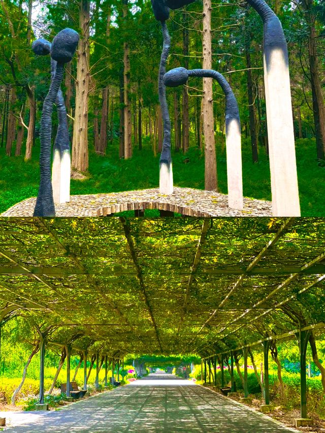 上海東平國家森林公園位於上海市崇明區北沿公路2188號。
