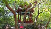 烏山公園石林景區。