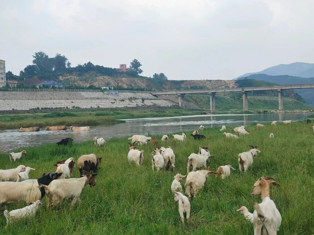 許昌附近不去可惜的免費露營地。
