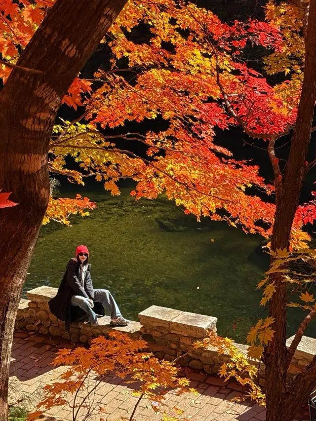 เป่ยซี | ทะเลสาบต้าสือ