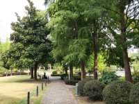 新虹橋中心花園。