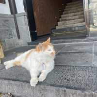 A Journey to the Confucius Temple