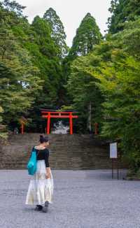 鹿兒島出發1小時打卡西日本大鳥居。
