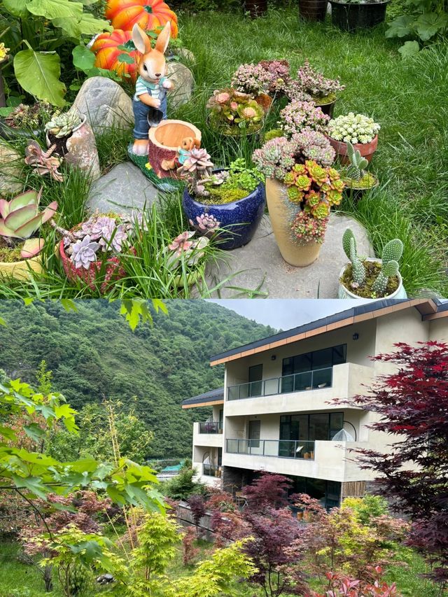 成都鄰近地區|臥龍也有不錯的私人溫泉民宿了。