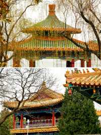 北京賞秋｜北海公園觀賞銀杏遊玩攻略。