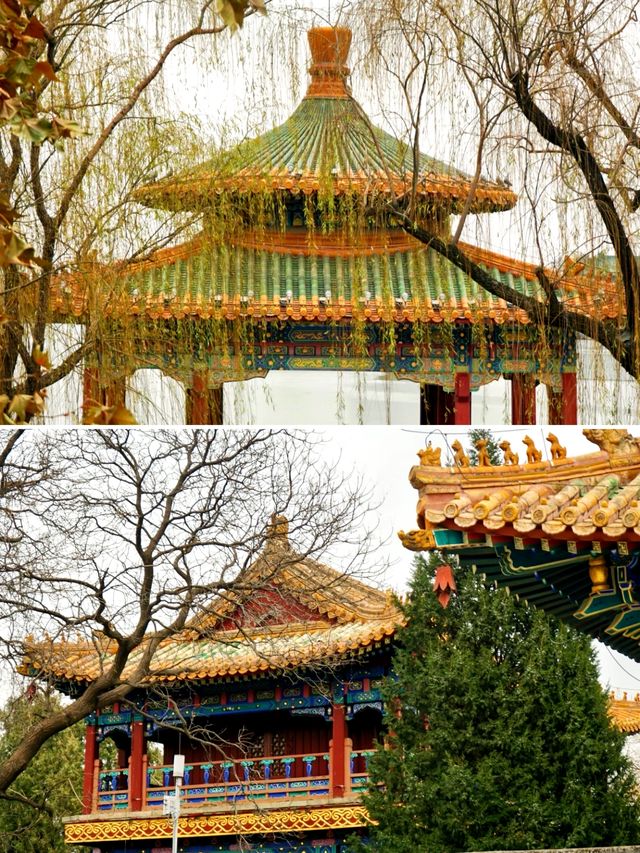 北京賞秋｜北海公園觀賞銀杏遊玩攻略。