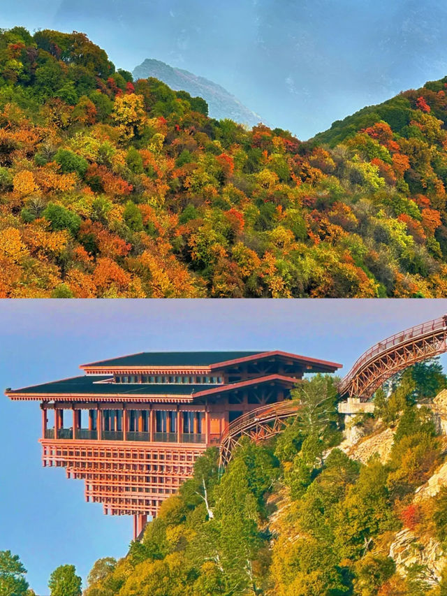 花14.5就能逃離西安被雲裡霧裡的秋天。