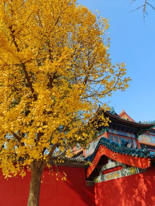 Guoan First City. 