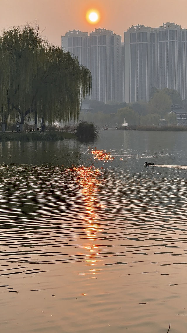 根本不敢想，錯過興慶公園的秋天我有多遺憾。