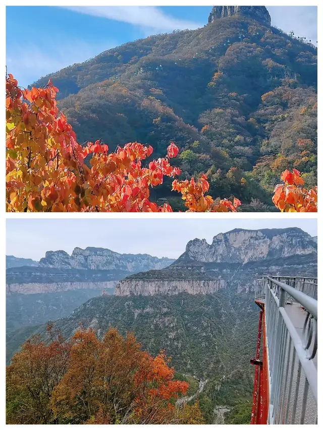 Baili Valley Scenic Area is a beautiful place with natural scenery.