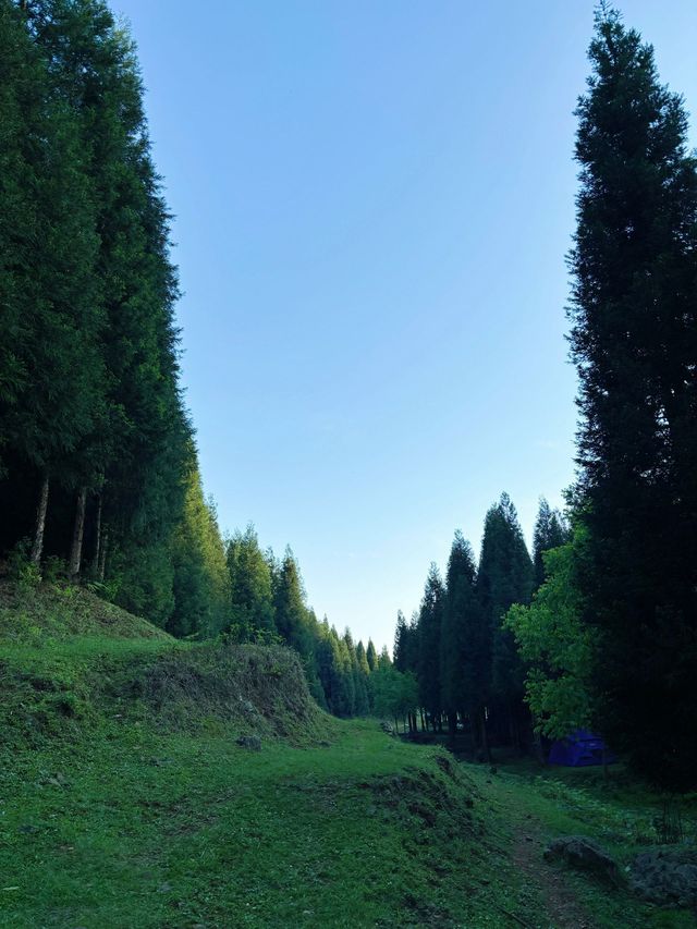 盤州2日遊 長者出行優選攻略。