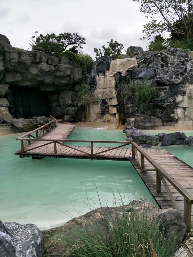 上海小九寨溝~~吳淞炮台灣國家濕地公園。