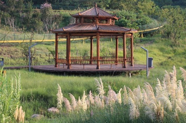 反向旅遊太爽了，一座遊客罕至的河南小城。