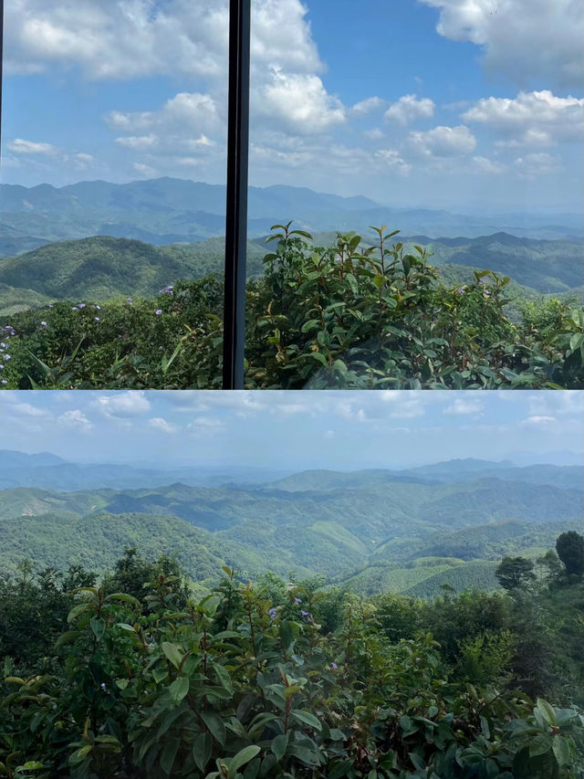 在清遠呢間茶山民宿 真的向雲端