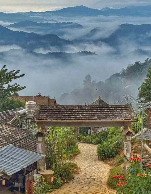 冬遊景邁山