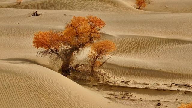 一生之中總要和愛的人來一趟民豐吧
