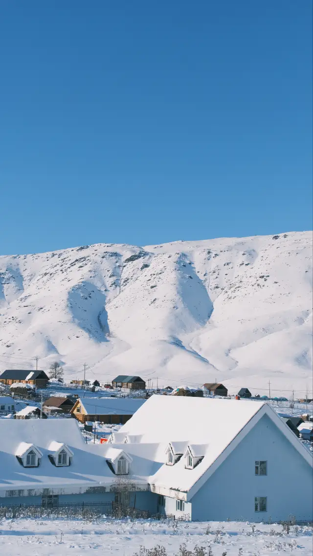 신장 - 알타이 지역·티에러커티